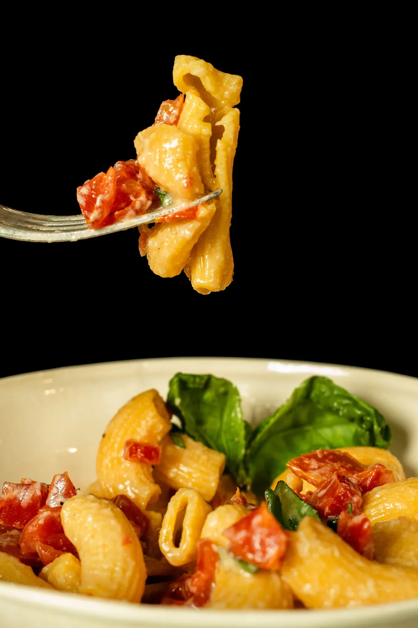 pates-froides-dadolata-paaates-bordeaux