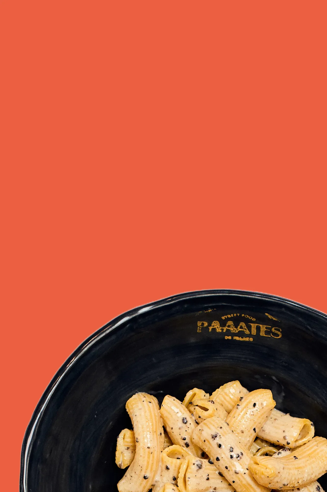 pates-chaudes-vegetarienne-truffe-et-parmesan-paaates-bordeaux